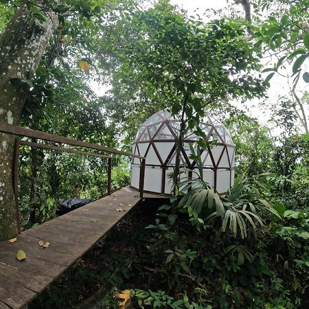 אל סאינו Taorayina Nature Lodge- Immersed In The Forest מראה חיצוני תמונה