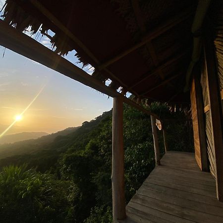 אל סאינו Taorayina Nature Lodge- Immersed In The Forest מראה חיצוני תמונה
