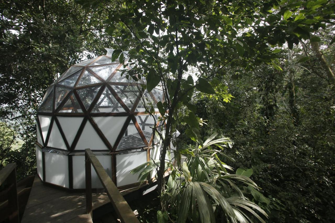 אל סאינו Taorayina Nature Lodge- Immersed In The Forest מראה חיצוני תמונה