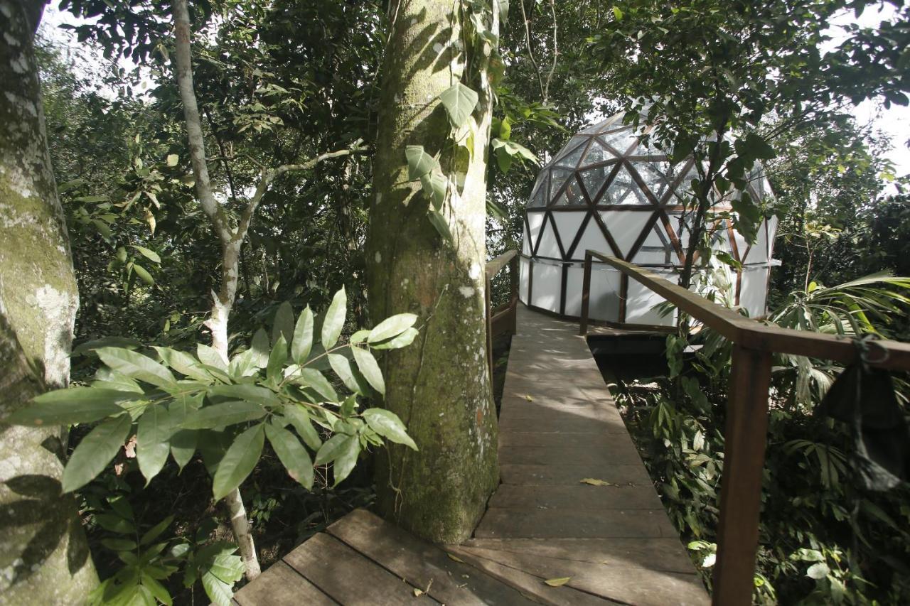 אל סאינו Taorayina Nature Lodge- Immersed In The Forest מראה חיצוני תמונה