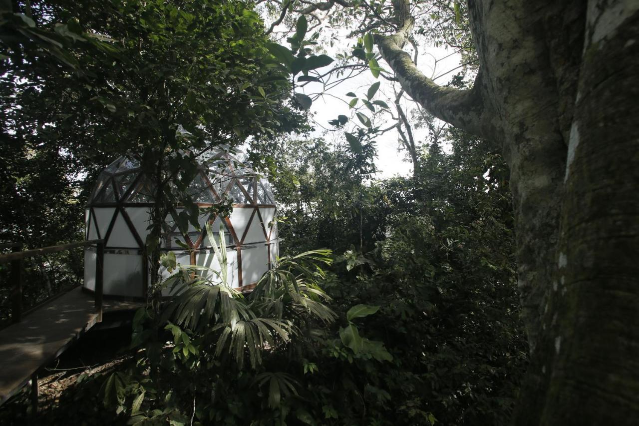 אל סאינו Taorayina Nature Lodge- Immersed In The Forest מראה חיצוני תמונה