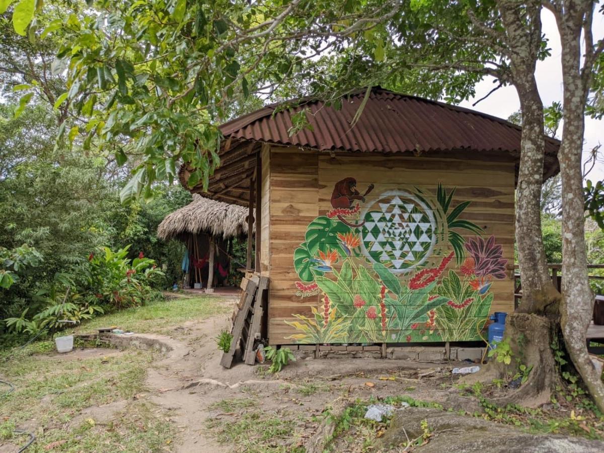 אל סאינו Taorayina Nature Lodge- Immersed In The Forest מראה חיצוני תמונה
