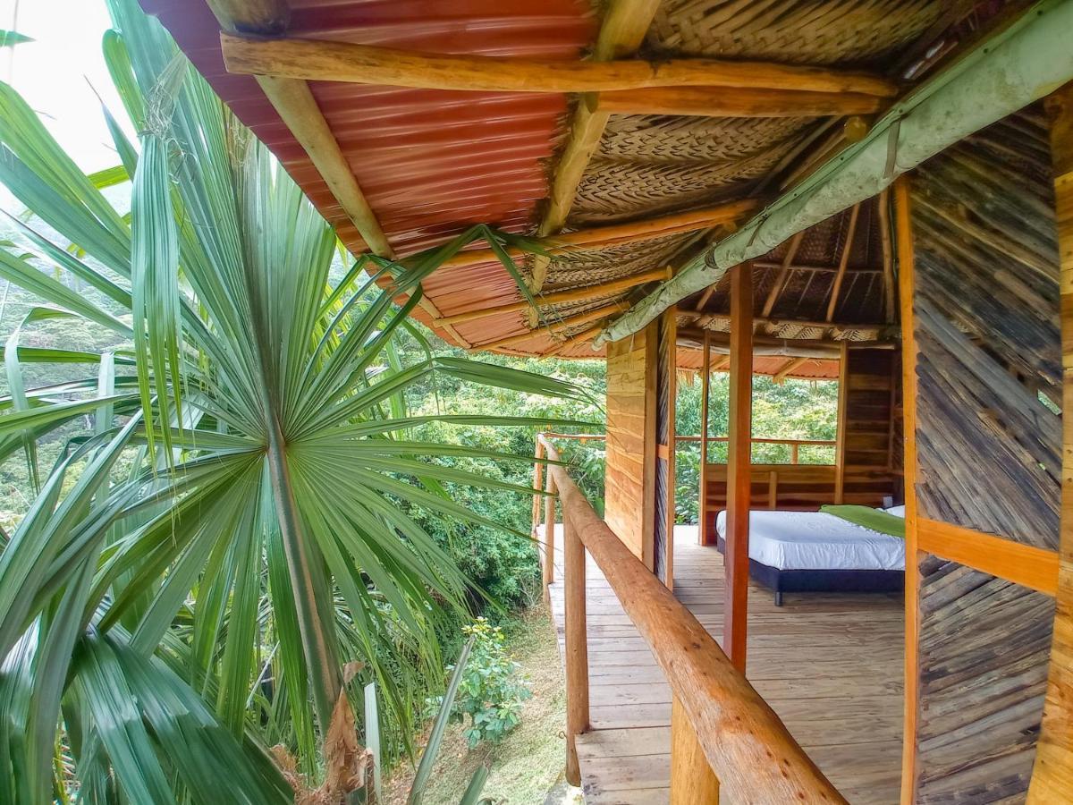 אל סאינו Taorayina Nature Lodge- Immersed In The Forest מראה חיצוני תמונה