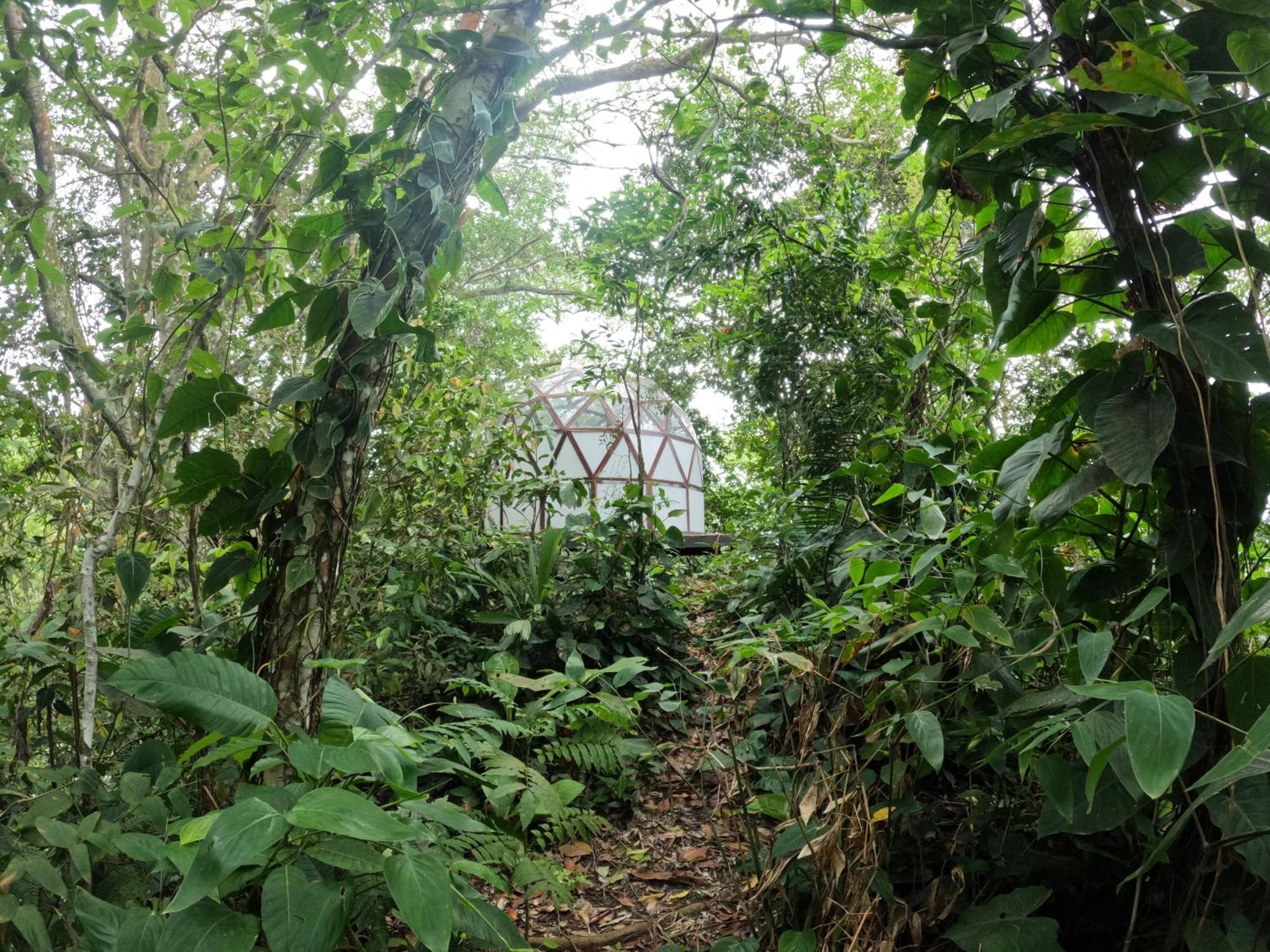 אל סאינו Taorayina Nature Lodge- Immersed In The Forest מראה חיצוני תמונה